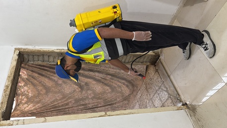 Taif, Pest Control, Termites = Hidden Destruction. 🐜🏚️