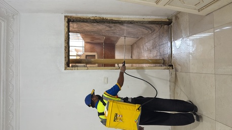 Taif, Pest Control, Termites = Hidden Destruction. 🐜🏚️