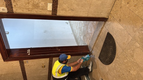 Taif, Pest Control, Termites = Hidden Destruction. 🐜🏚️