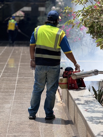 Taif, Pest Control, Termites = Hidden Destruction. 🐜🏚️