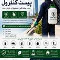 جدہ میں بہترین پیسٹ کنٹرول سروسز