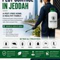 Best Pest Control Services In Riyadh