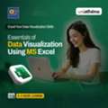 Free Certificate Course In Data Visualization With Excel | UniAthena