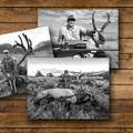 Expert Long Range Shooting Training At Evolved Ballistics