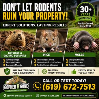 San Diego, Farm/Garden, San Diego Gopher & Rodent Control &ndash; Safe, Effective, Local