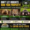 San Diego Gopher & Rodent Control – Safe, Effective, Local