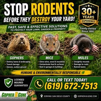 San Diego, Farm/Garden, San Diego Gopher & Rodent Control &ndash; Safe, Effective, Local