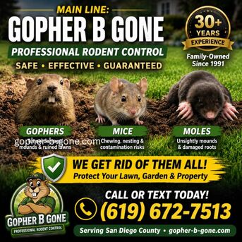 San Diego, Farm/Garden, San Diego Gopher & Rodent Control &ndash; Safe, Effective, Local