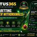 Why Lotus 365 Is Trending Among Cricket Fans In 2026
