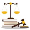 Professional Lawyers In South China