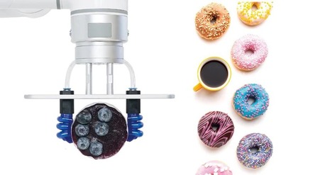 Toronto, Business, Soft Robot Gripper