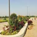 INR 23999,  180 Sq. Yard,  Hmda & Rera Approved Open Plots For Sale At Near Shamshabad Airport