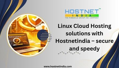 Mumbai, Computer, Linux Cloud Hosting Solutions With Hostnetindia &ndash; Secure And Speedy