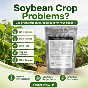 Toronto, Farm & Garden, CAD 45,  White Mold Pressure In Soybeans? Try Bradyrhizobium Japonicum For Better Plant Care