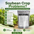 CAD 45,  White Mold Pressure In Soybeans? Try Bradyrhizobium Japonicum For Better Plant Care
