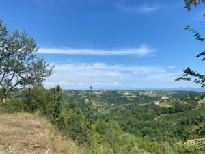 Milan, Real Estate, Best Location In Piemonte
