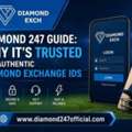 Diamond 247 Guide: Trusted Platform For Authentic Diamond Exchange IDs