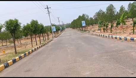 Hyderabad, Residential Plots, INR 12500,  183 Sq. Yard,  DTCP & RERA APPROVED OPEN PLOTS IN FUTURE CITY @ 9392311420