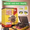 Mouse Traps For Sale In Omagh