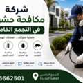 حشره البق | بق الفراش | أسباب ظهور حشرة البق​ 0101