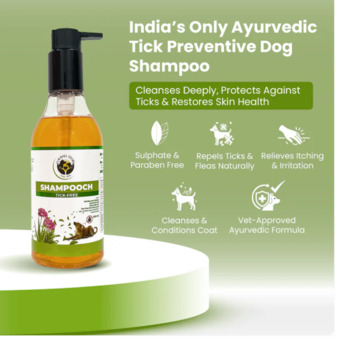Gurgaon, Pet Sitting, The Tick Shampoo For Dogs That Works Before Ticks Become A Problem