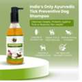 The Tick Shampoo For Dogs That Works Before Ticks Become A Problem
