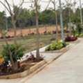 INR 22000,  237 Sq. Yard,  HMDA & RERA  APPROVED Open Plots For Sale @ Maheswaram