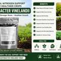 USD 35,  Poor Soil Biology? Try Azotobacter Vinelandii For Crop Support &mdash; Buy Now