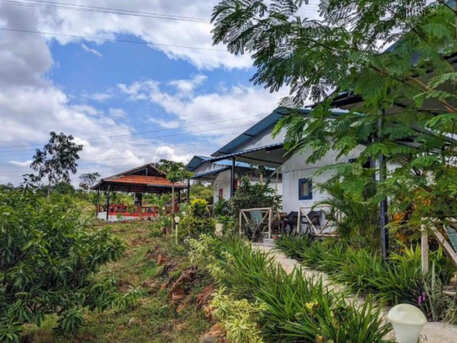 Bangalore, Travel, Kid Friendly Stays Near Bangalore | WildernessJungleCamp