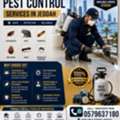 Best Pest Control Services In Jeddah