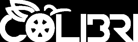 Toronto, Automotive, Colibri Car Wrap And Detailing
