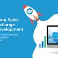 Salesforce AppExchange Development For Custom Solutions