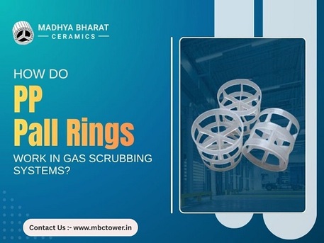 Bhopal, Business, Industrial PP Pall Ring Exporter For Tower Efficiency