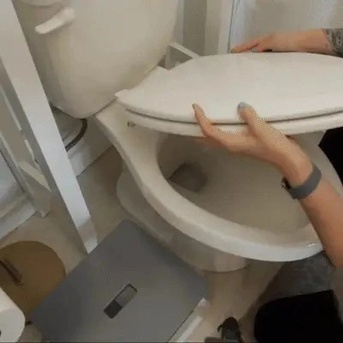 New York, Training, Easy Pet Care With Toilet Training Kit For Cats