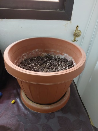 Al Wizarat, Household Items, SAR 250,  Cycle - Water Drum - Plant Pots For Sale
