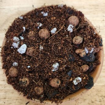 New York, Farm & Garden, USD 13,  Aroid Mix For Healthy Indoor Plants By Green Barn Orchid