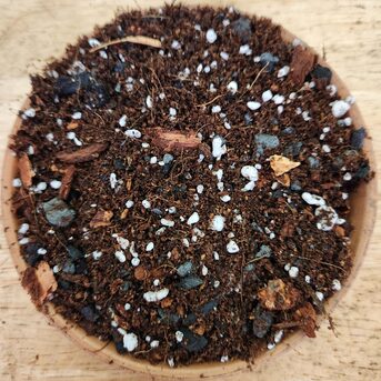 New York, Farm & Garden, USD 13,  Aroid Mix For Healthy Indoor Plants By Green Barn Orchid
