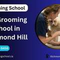 Pet Grooming School In Richmond Hill | Grooming School