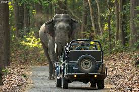 Mumbai, Travel, Corbett National  Park Package 2 Nights 3 Days INR:6900/-