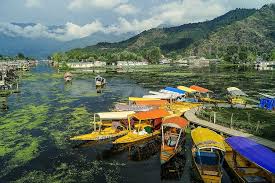 Mumbai, Travel, Srinagar Delights 4 Nights 5 Days Starting From 18000/- Per Person