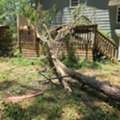 Tree Service In Atlanta GA | Advance Grading & Tree Service