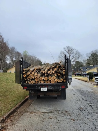 New York, Cleaning, Tree Service In Atlanta GA | Advance Grading & Tree Service