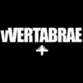 USD 999,  Vertabrae Sweatpants &ndash; Premium Streetwear Sweatpants For Comfort And Modern Urban Style