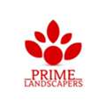 Lawn Sod Installation Near Me Local Experts For Perfect Lawn Solutions