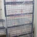 SAR 120,  I Have 3 Single Bed With Mattress Each One 120 Riyal