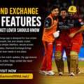 Diamond Exchange App Features Every Cricket Lover Should Know
