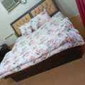 Queen Size Bed With Mattress - Free