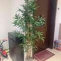 BHD 10,  Artificial Decor Plant For Sale. Perfect Condition.