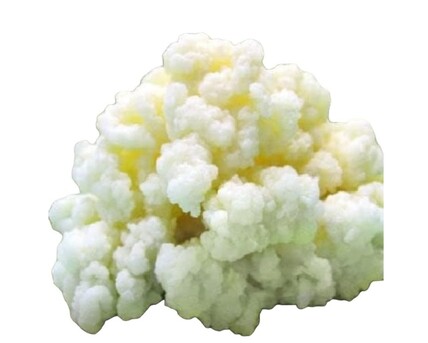 Juffair, Food, BHD 3,  KEFIR Grains