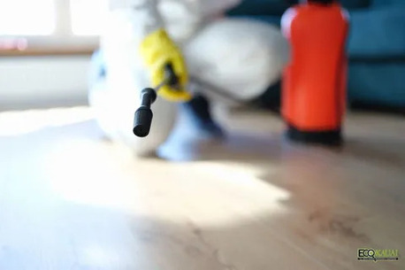 New York, Cleaning, ECO Kauai Services